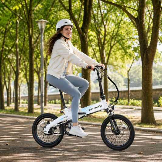Crazybird CU2 E-Bike