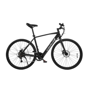 Crazybird CB20 E-Bike