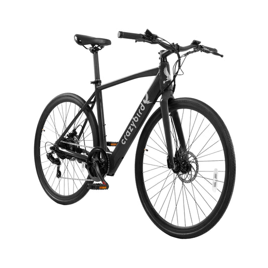 Crazybird CB20 E-Bike